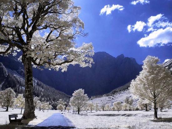 1-blanc-et-bleu.jpg