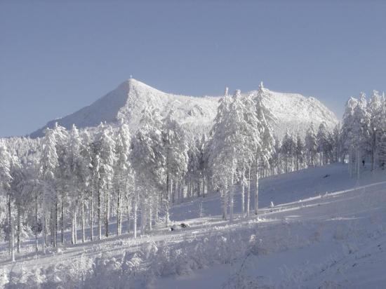 19-tout-blanc.jpg