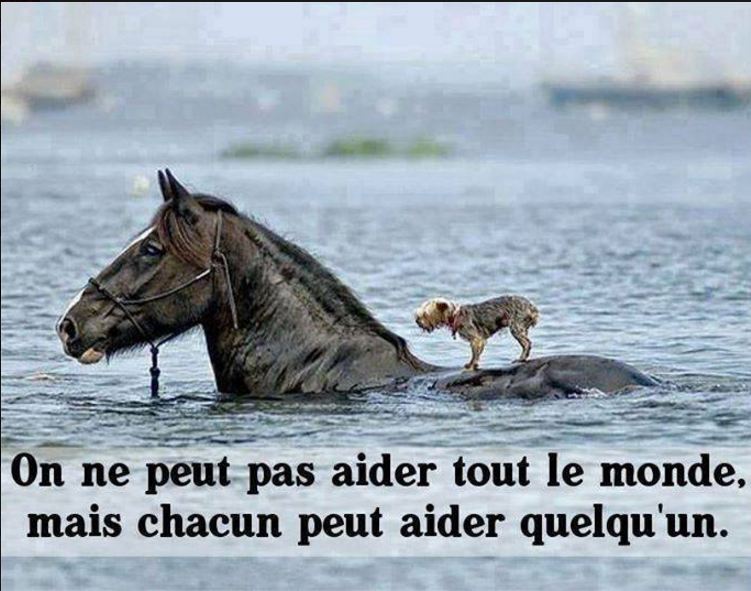 Aider quelqu un
