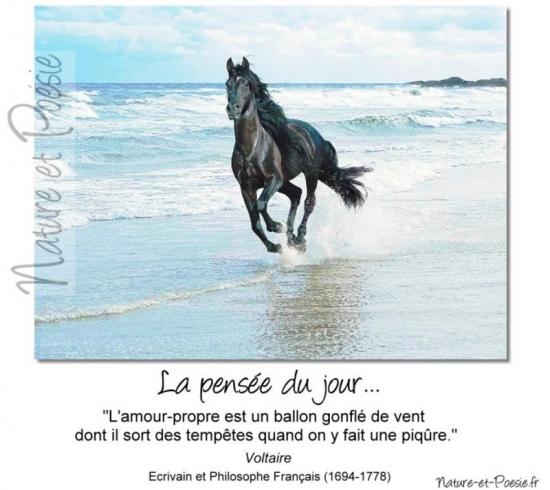 Amour