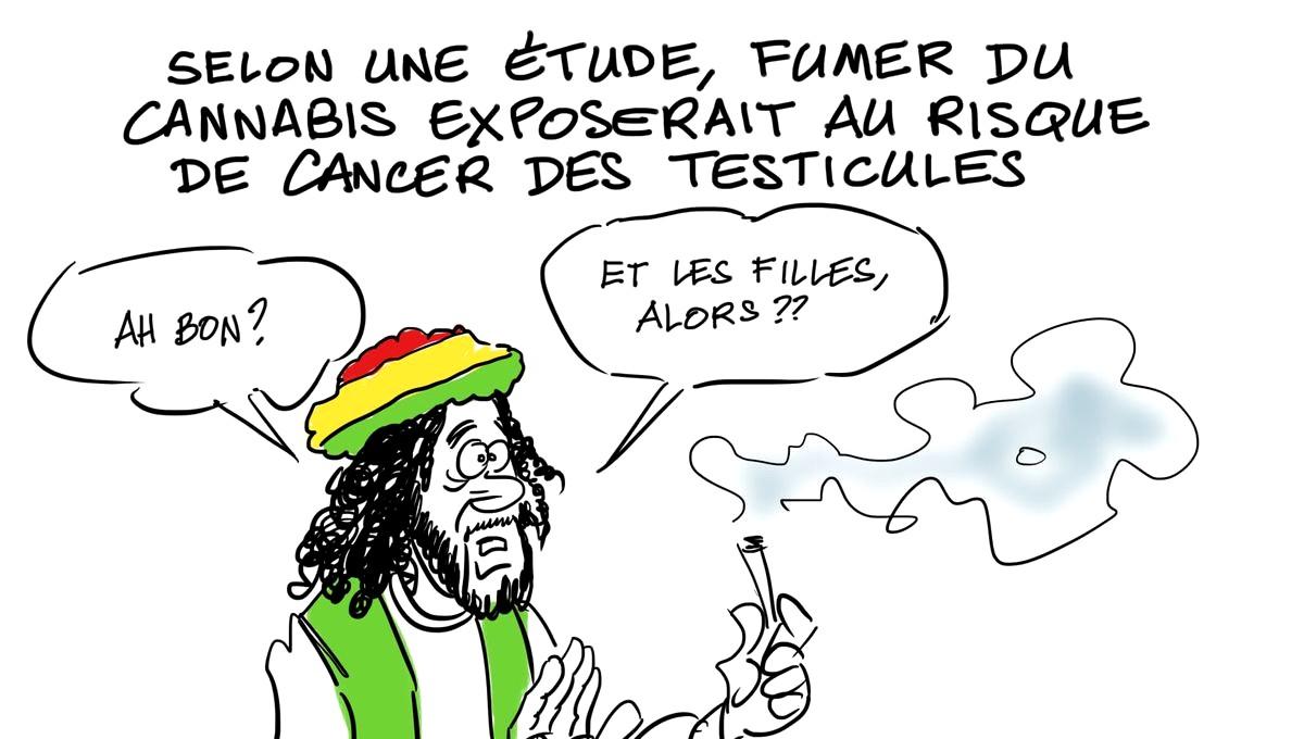 Cannabis et cancer