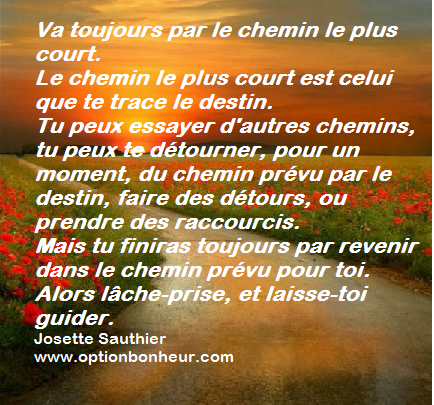 Chemin le plus court