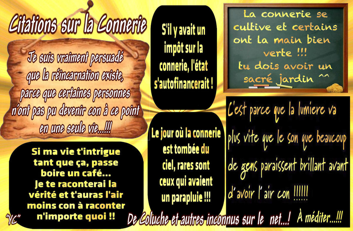 Citations sur la connerie
