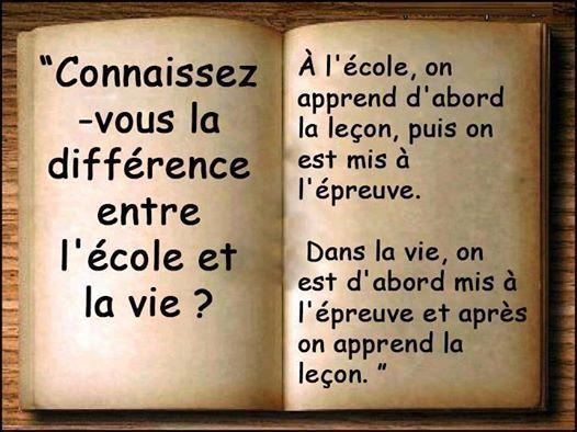 Ecole et vie