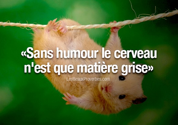 Humour2