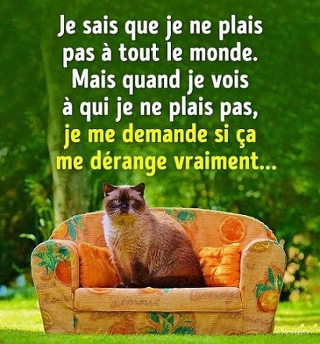 Je ne plais pas2