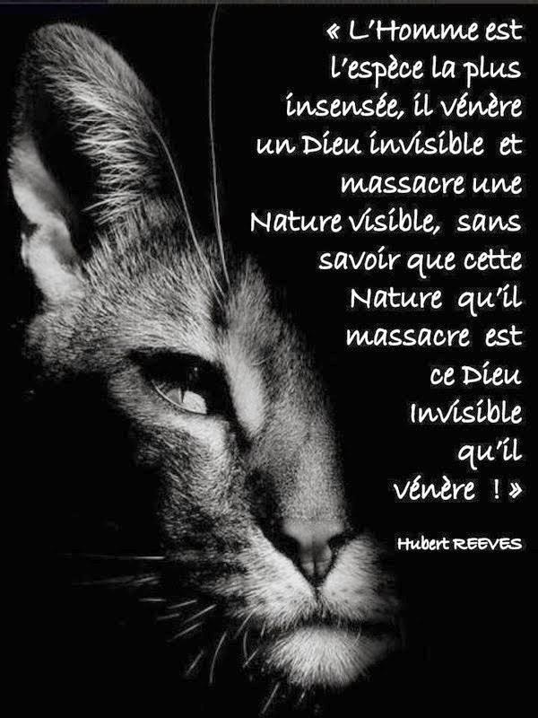 L homme espece insensee