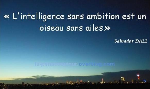 L intelligence sans ambition