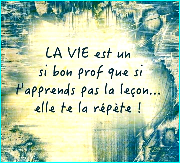 La vie bon professeur