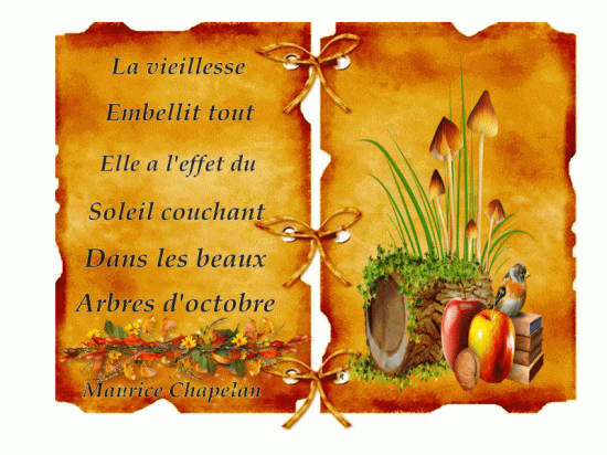 La vieillesse