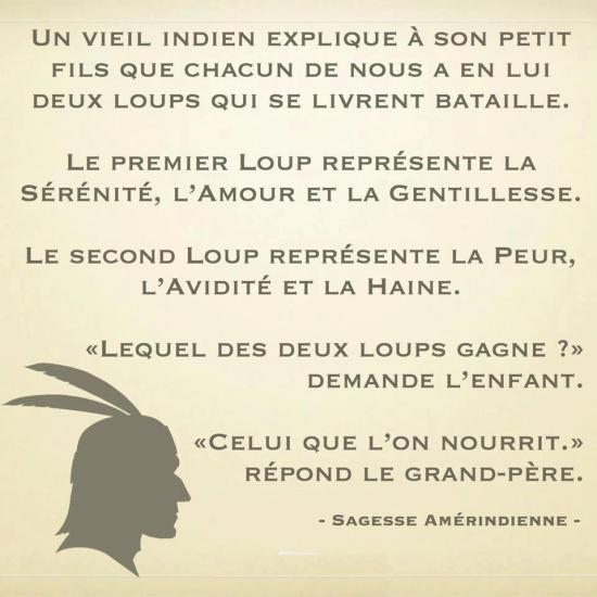 les-loups.jpg