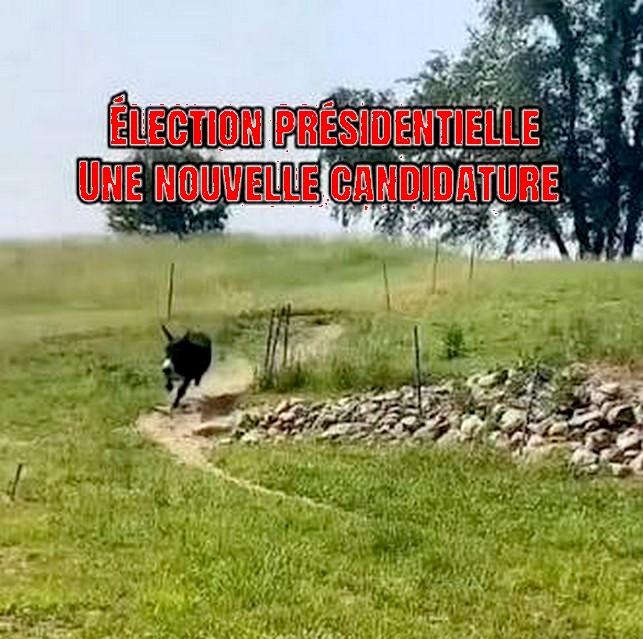 Nouvelle candidature