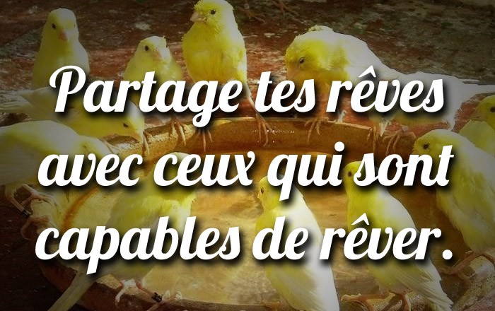 Partage tes reves