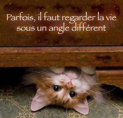 Regarder la vie