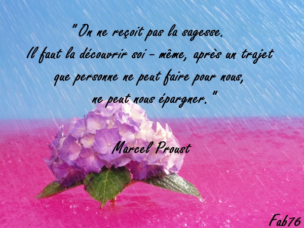 sagesse-marcel-proust.jpg