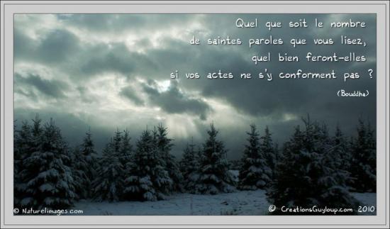 saintes-paroles.jpg