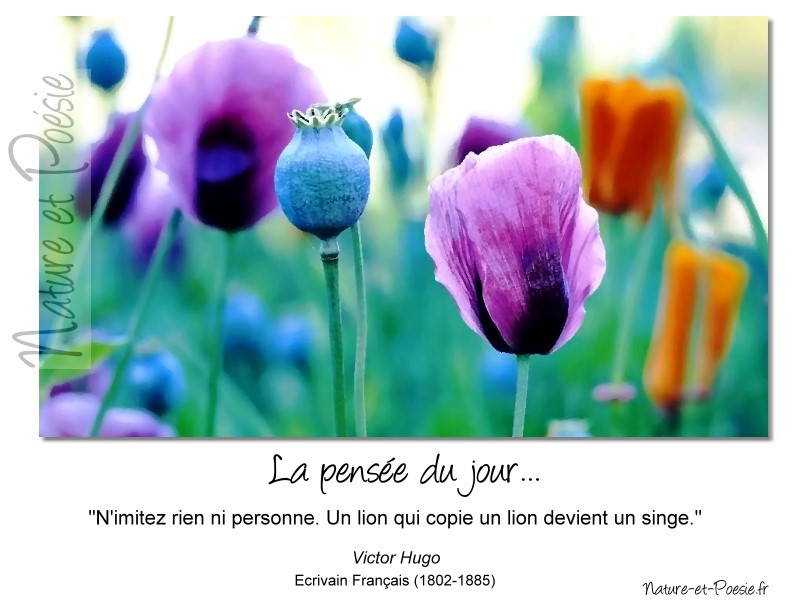 Singe imiter
