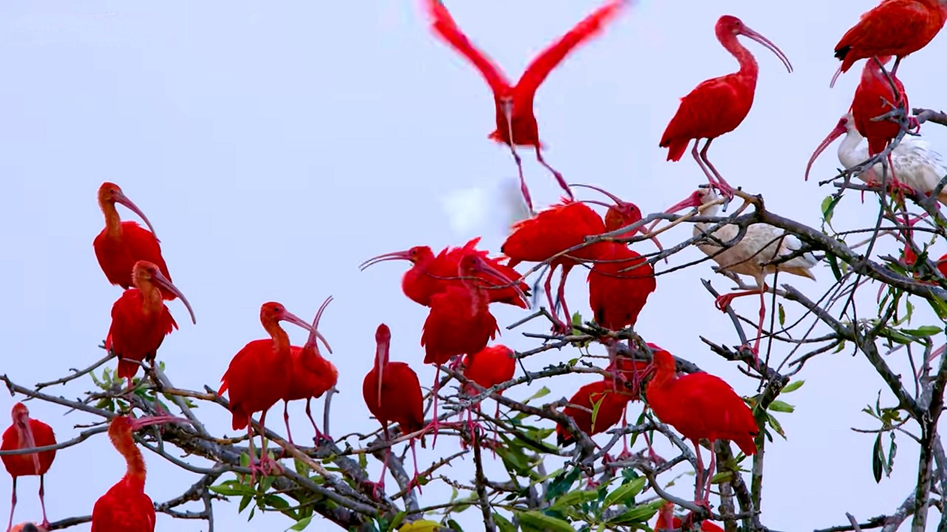 Tout en rouge sur ciel bleu