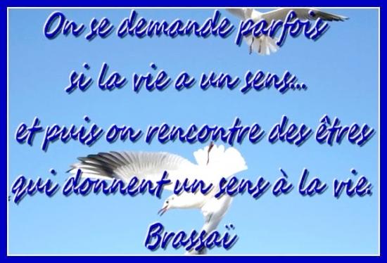 un-sens-a-la-vie.jpg