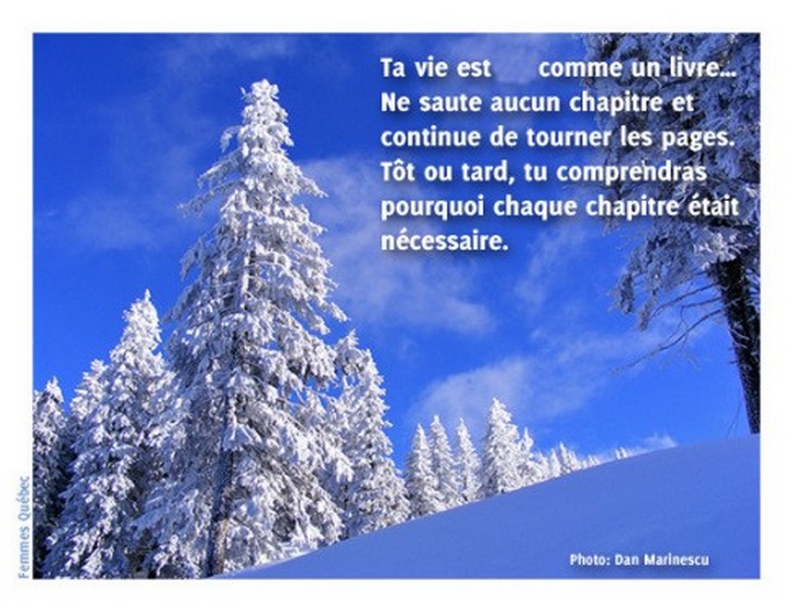 vie-comme-un-livre-2.jpg