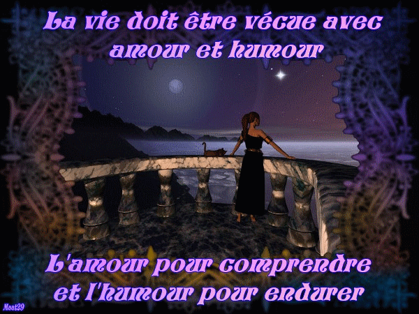 Vie amour humour