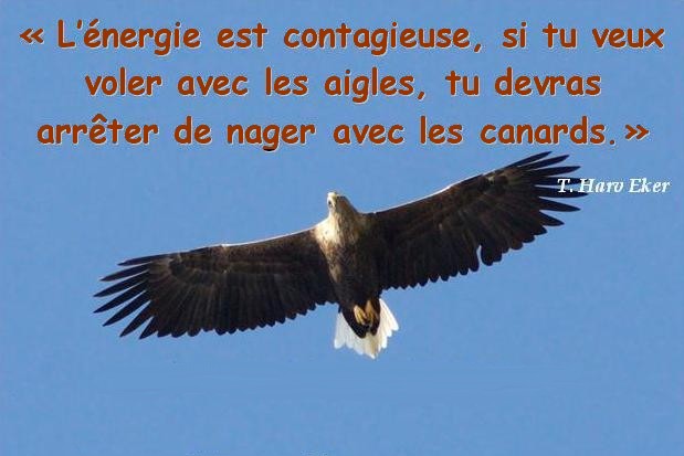 Voler avec les aigles 1